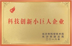 科技創(chuàng)新小巨人企業(yè)
